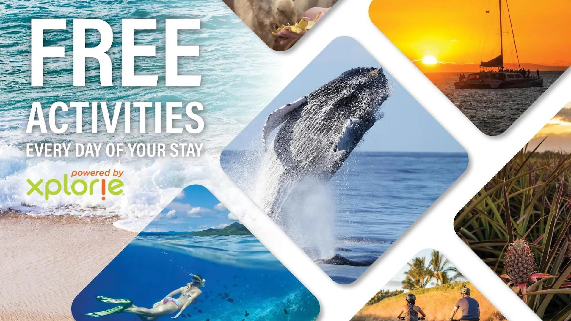Holiday home International Colony Club 28 Villa Lahaina United States