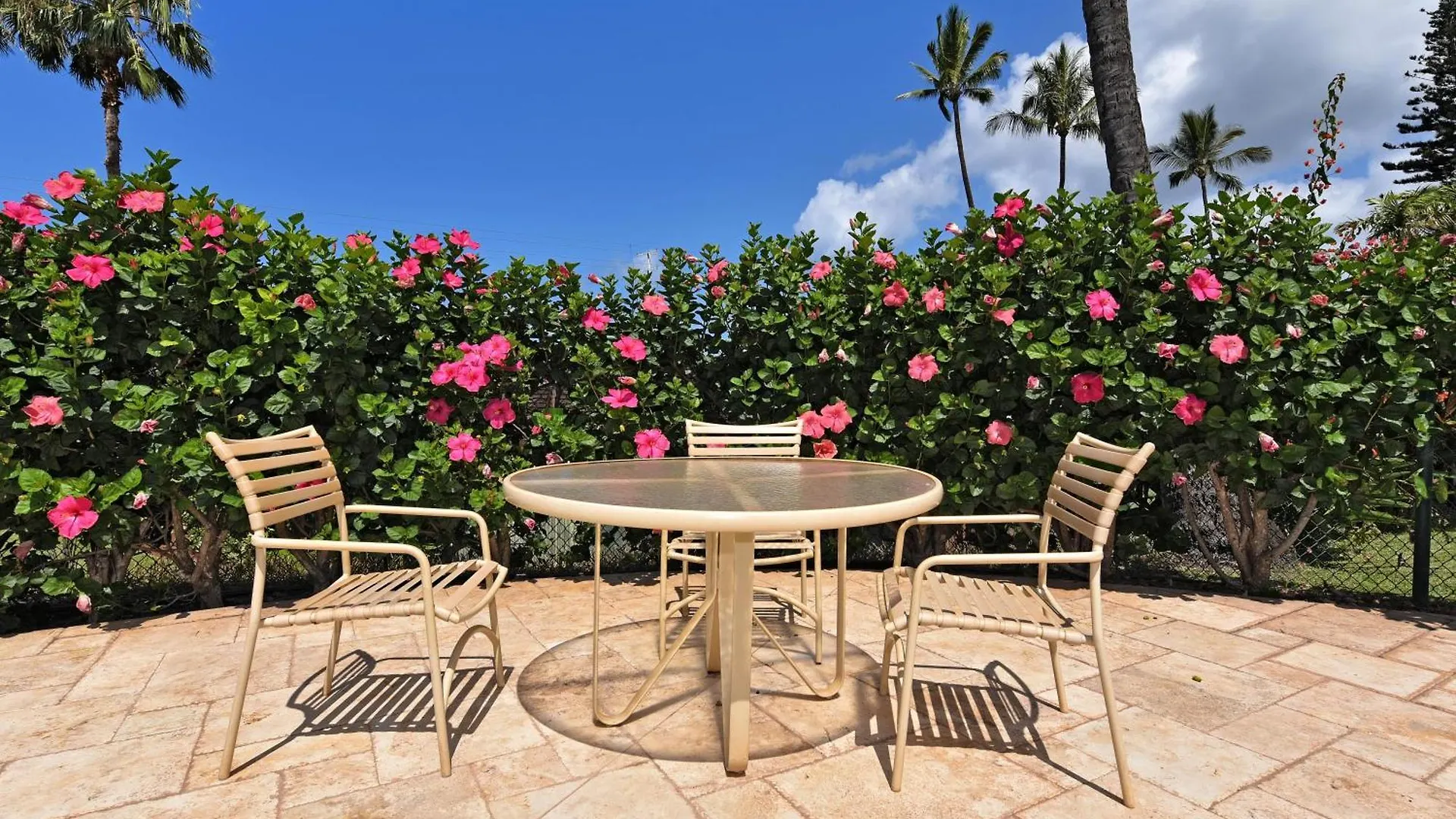 Willa International Colony Club 28 Lahaina